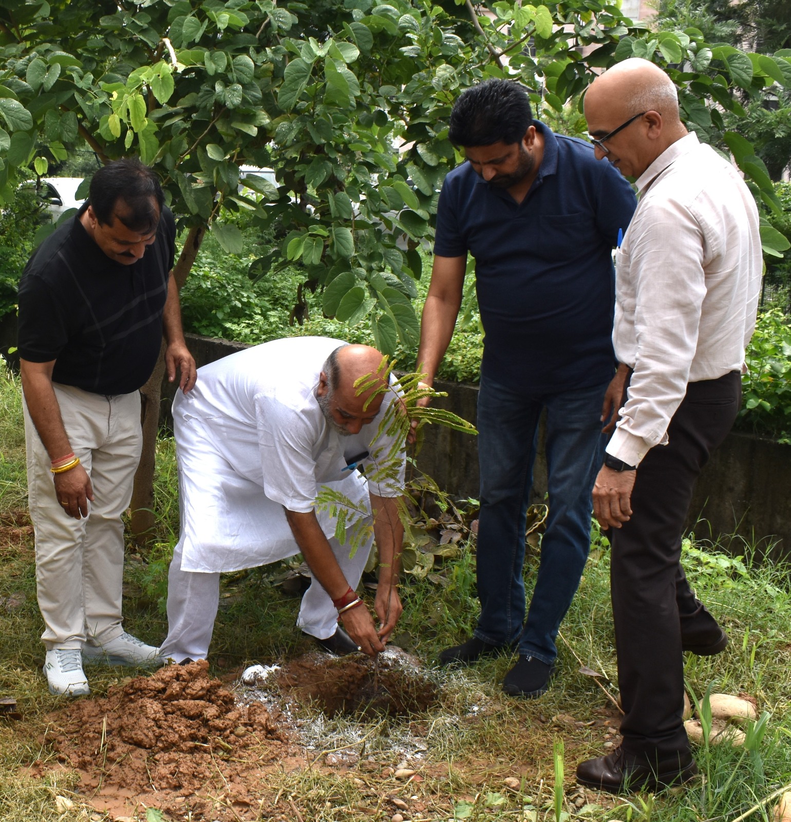 Plantation Drive